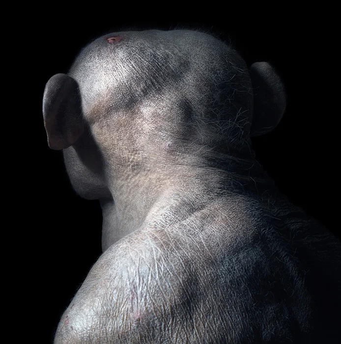 1 TF human.png