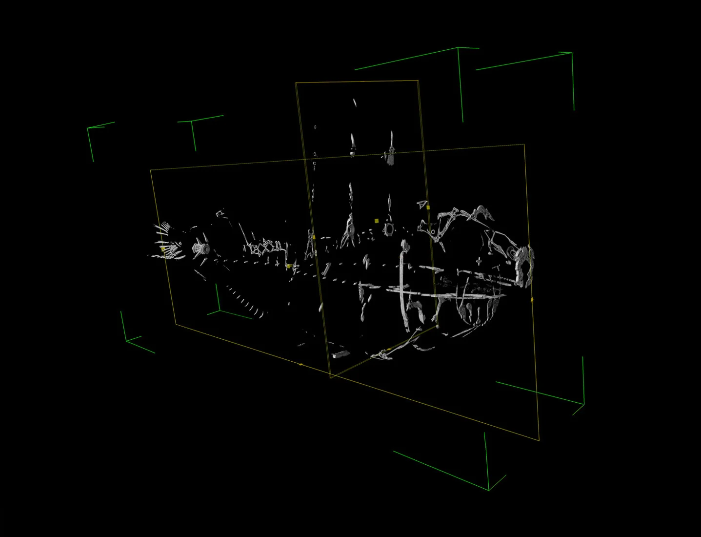 Fish Deconstruction: The project is the result of another collaboration with the Natural History Museum. A gradual transformation is made from an easily recogniseable skeletal fish into a reduced graphic representation of the structure over the series of eight images. It relates to the work of a paleontologist who will forensically piece organisms back together from fragmented evidence.
