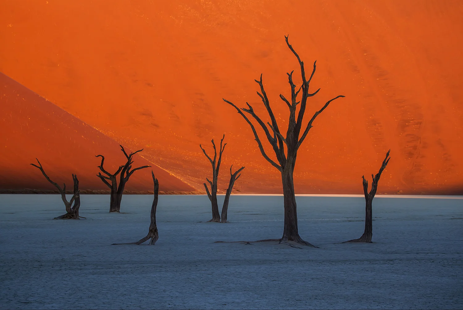 Beverly Houwing; Dead Vlei Trees at Sunrise www.squidgallery.com