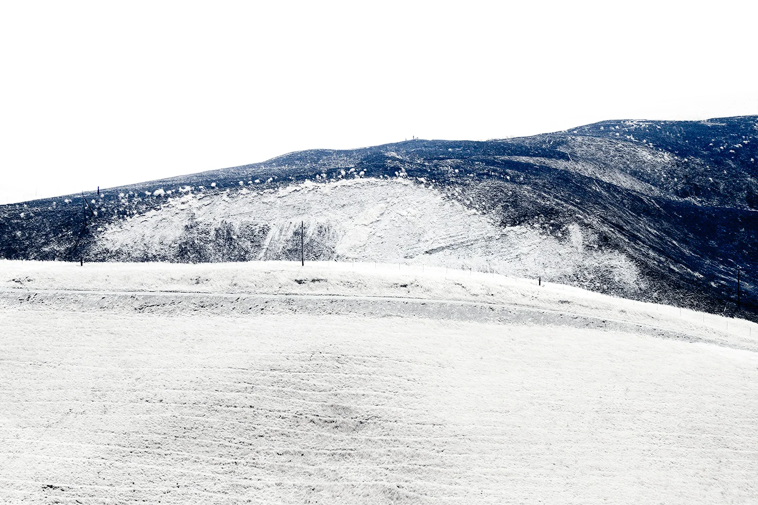 Erin Tengquist; Landscape www.erintengquist.com