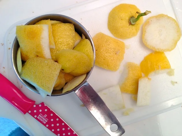 My brother-in-law Tom hand-squeezed lemons from his backyard for party lemonade. I took home the organic lemon scraps to make the cleaner.