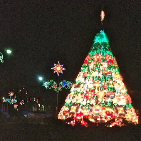 Every town, big and small, had a Christmas tree in the town square. This one was in La Union.