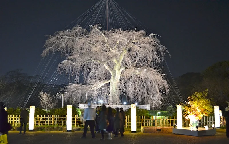 photo credit: Ricci Sylla