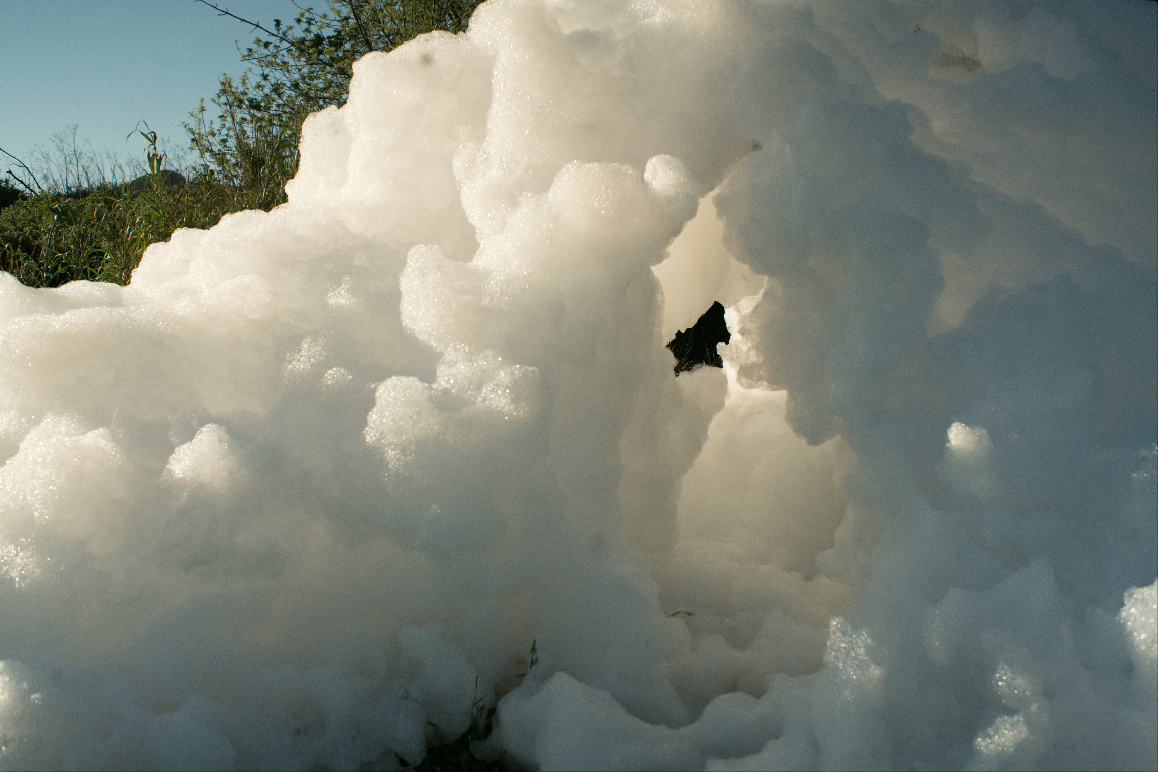 Screen Shot 2020-04-10 at 11.34.51 AM.png