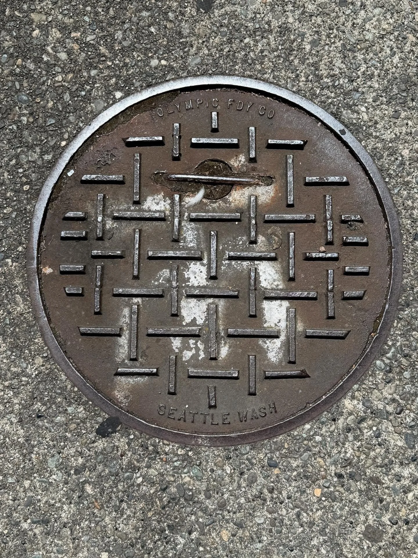 Dirt, metal, dog hair. Seattle city found installation. 

#accidental_art #manhole #seattle #streetart