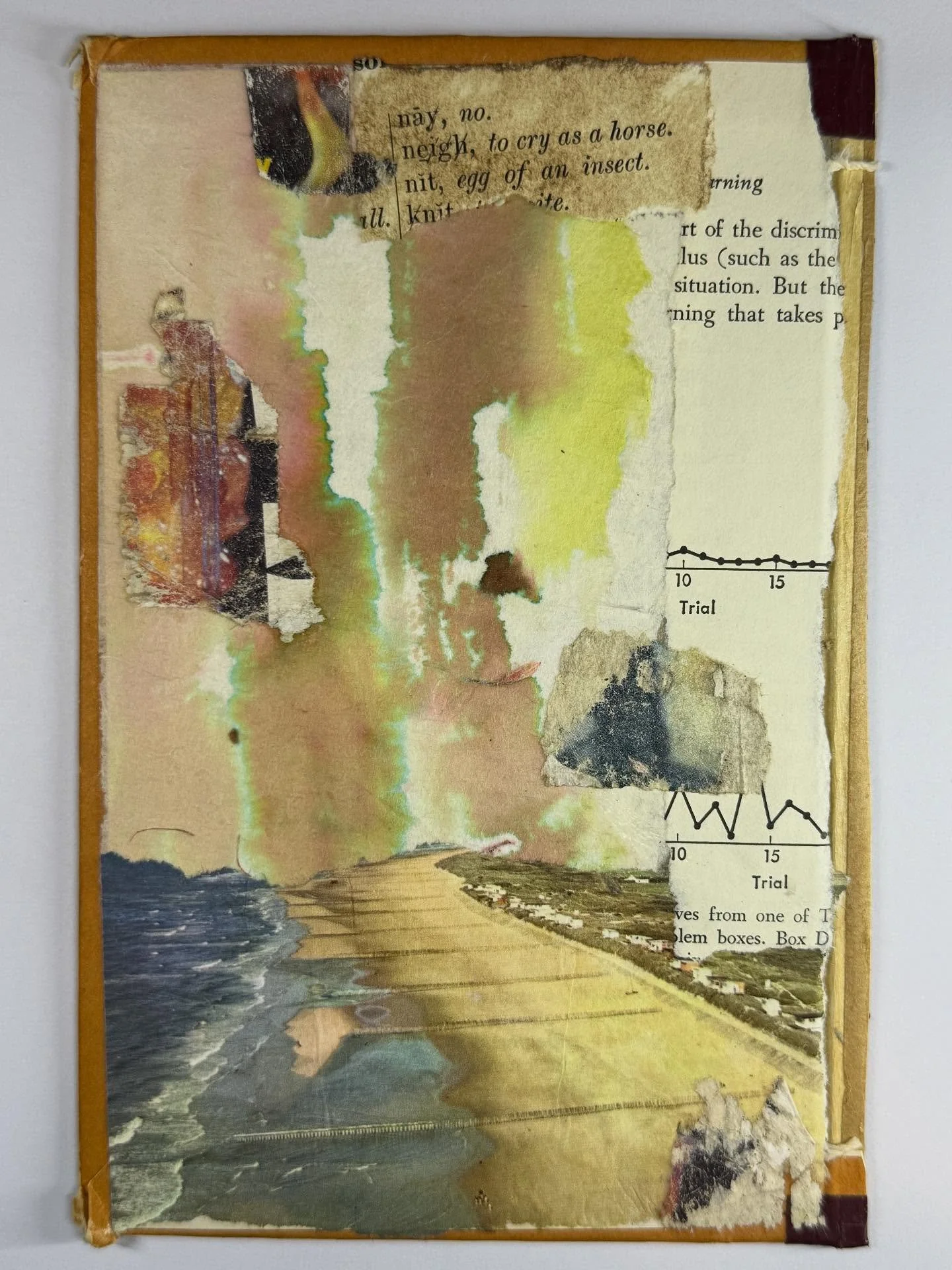 New collage series, on vintage book covers.

#collage #paper #analogecollage #artist #collageartist #abstractart