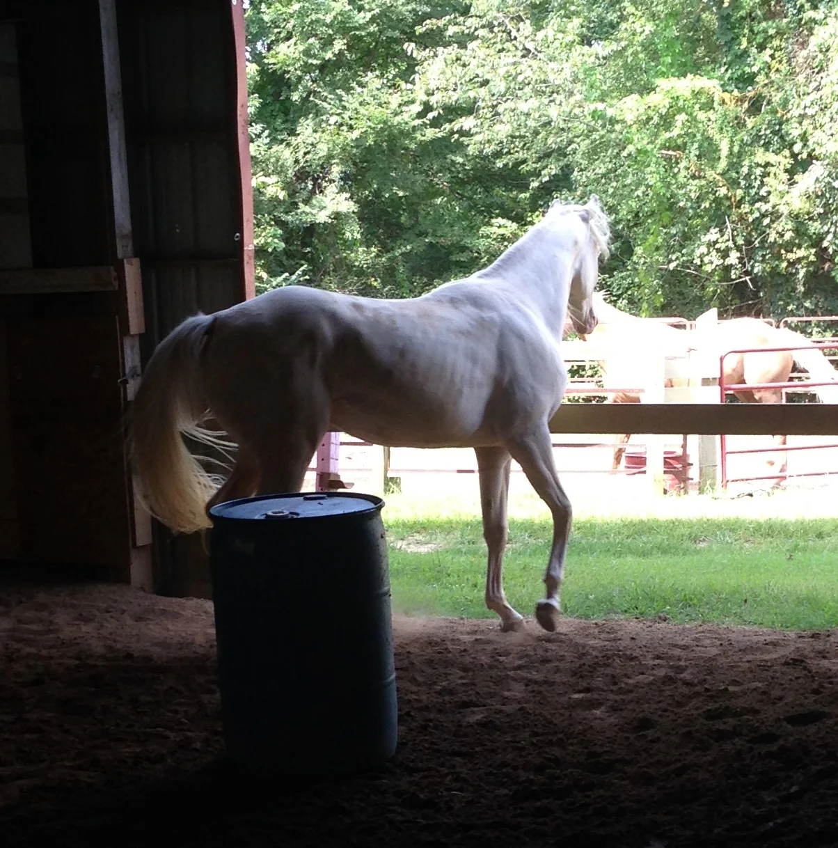The Artsy Equine: On My Easel(s)
