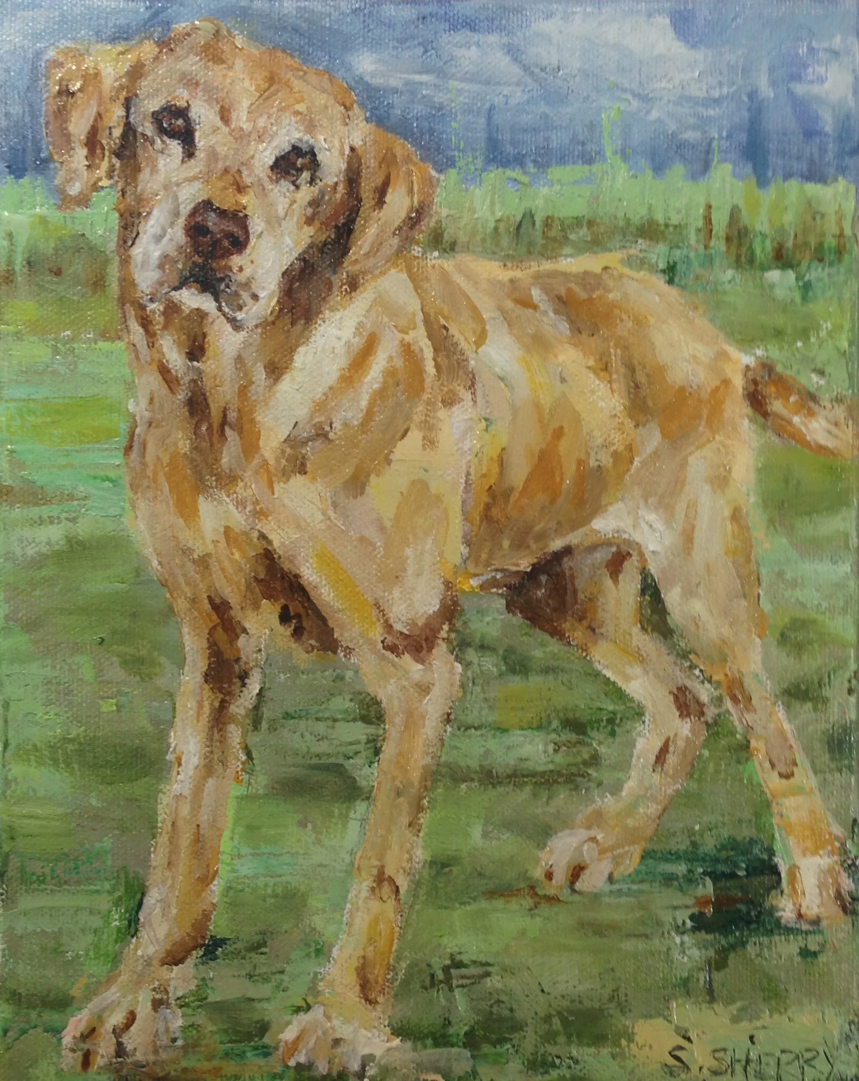 The Artsy Equine: Day 7, Dog 7