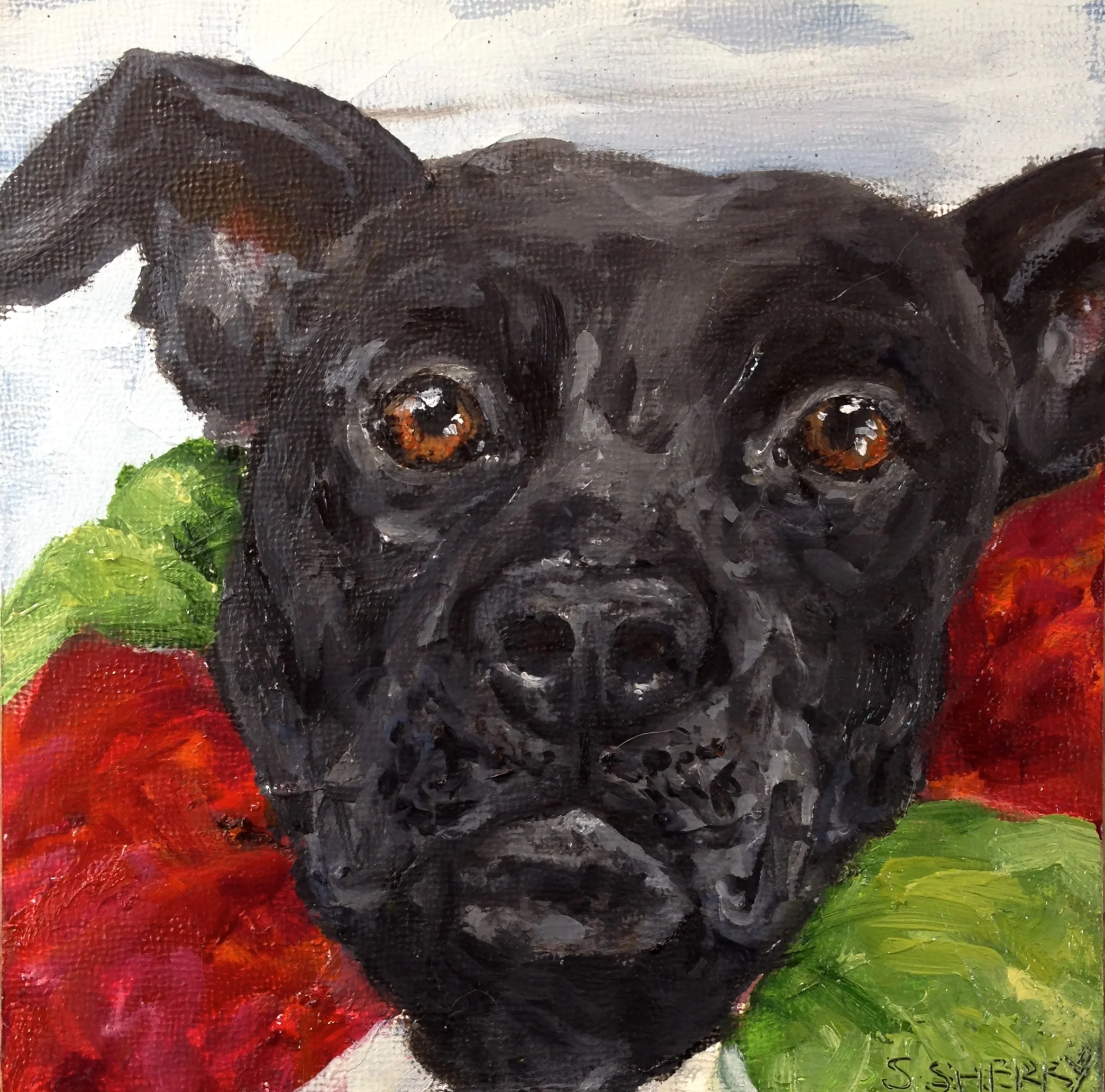 The Artsy Equine: Day 10, Dog 10