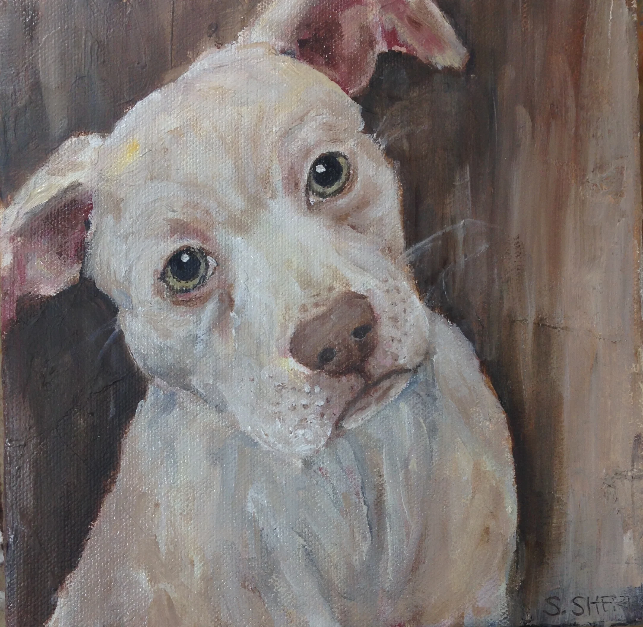 The Artsy Equine: Day 11, Dog 11