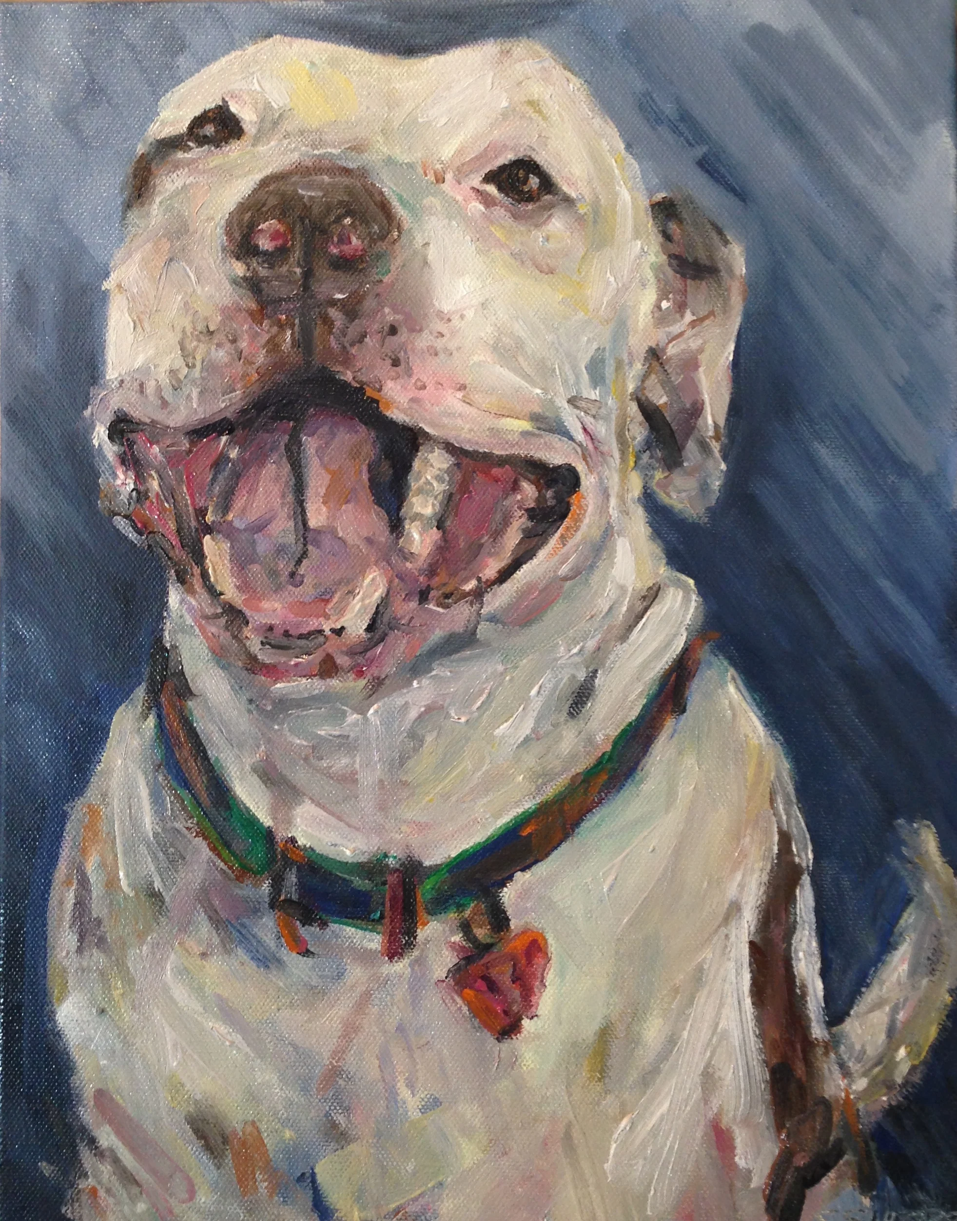 Day 29, Dog 29