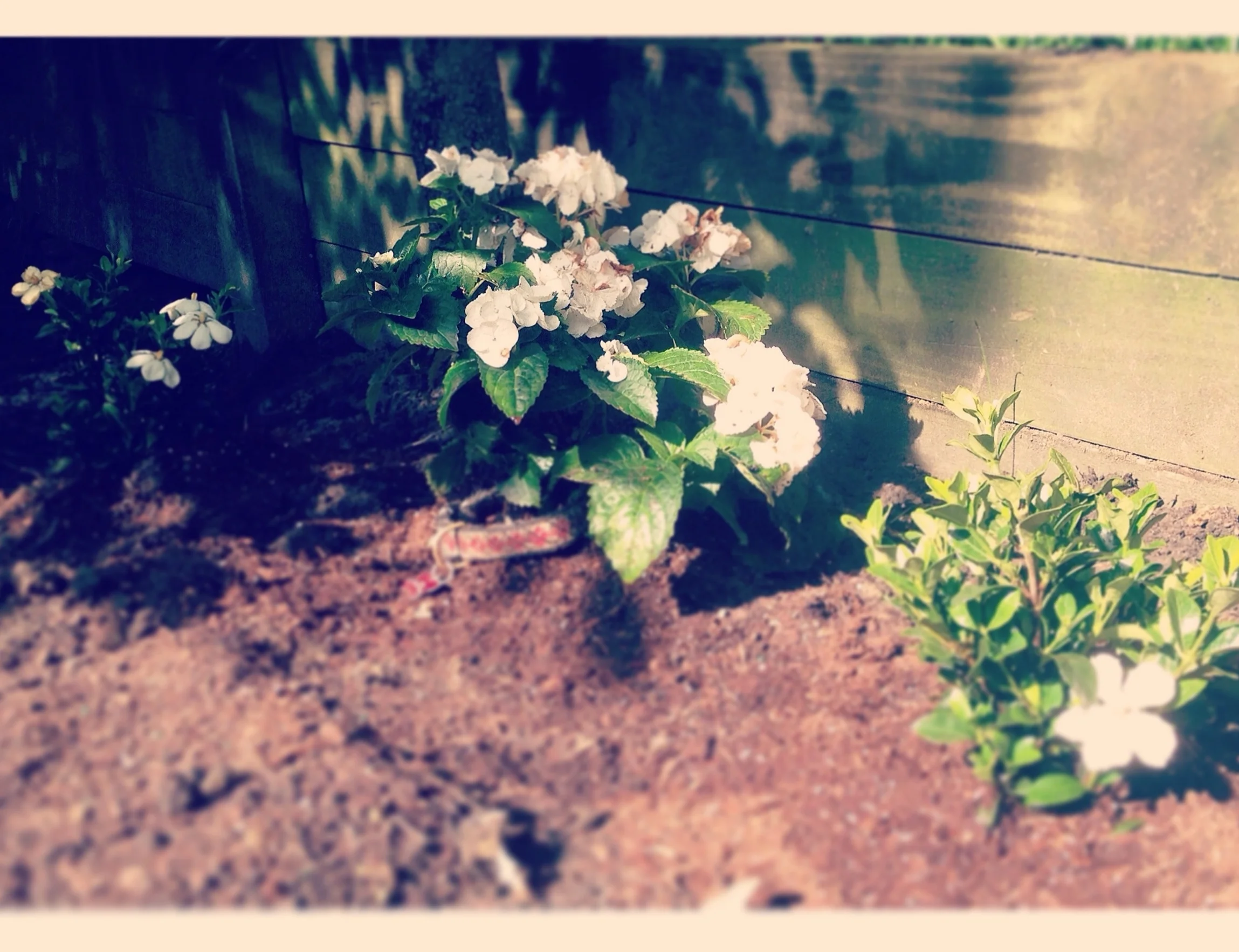 Grief, Gratefulness, & Goals