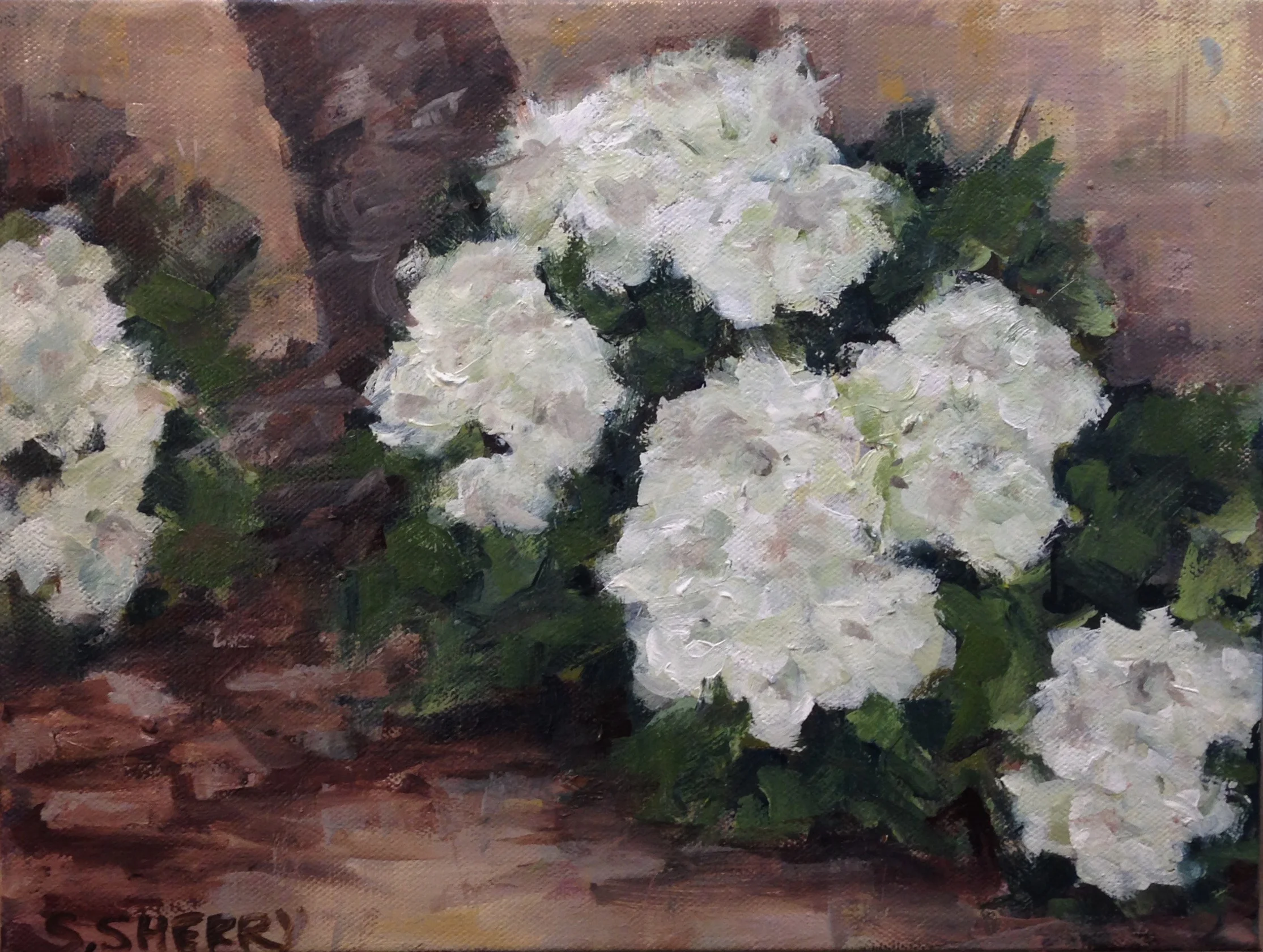 Hydrangeas, Round Two