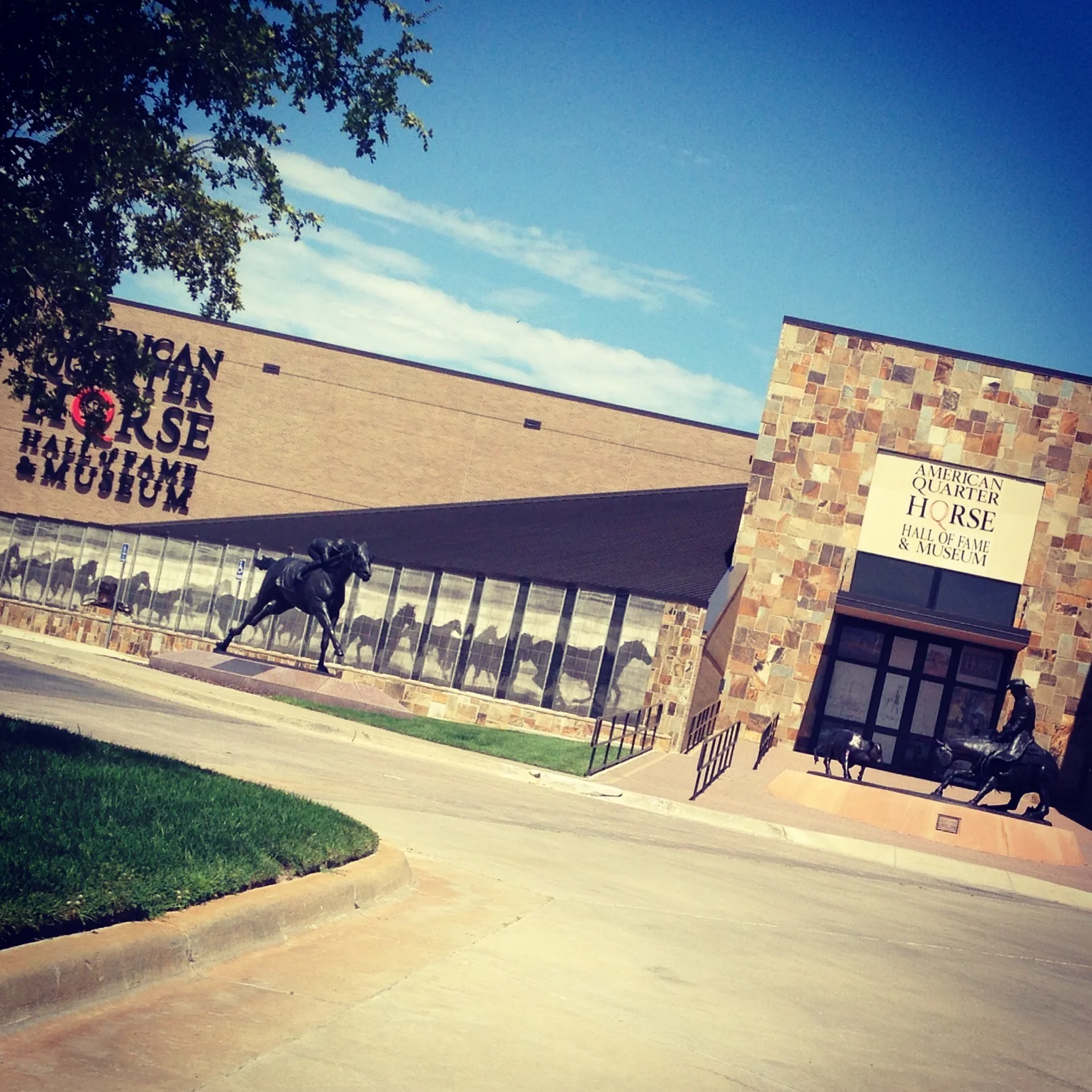 America's Horse in Art