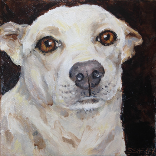 Portrait of Puddin' from last year's challenge