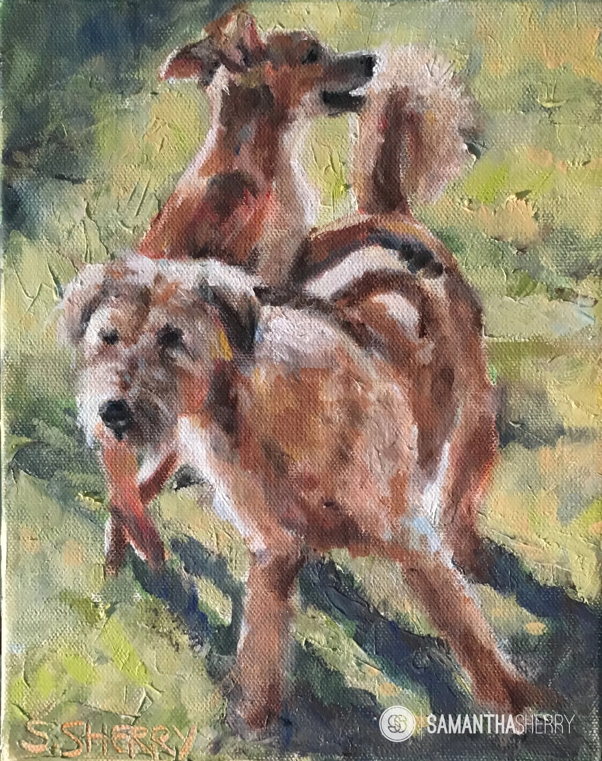 Day 13: Queenie & Fergie