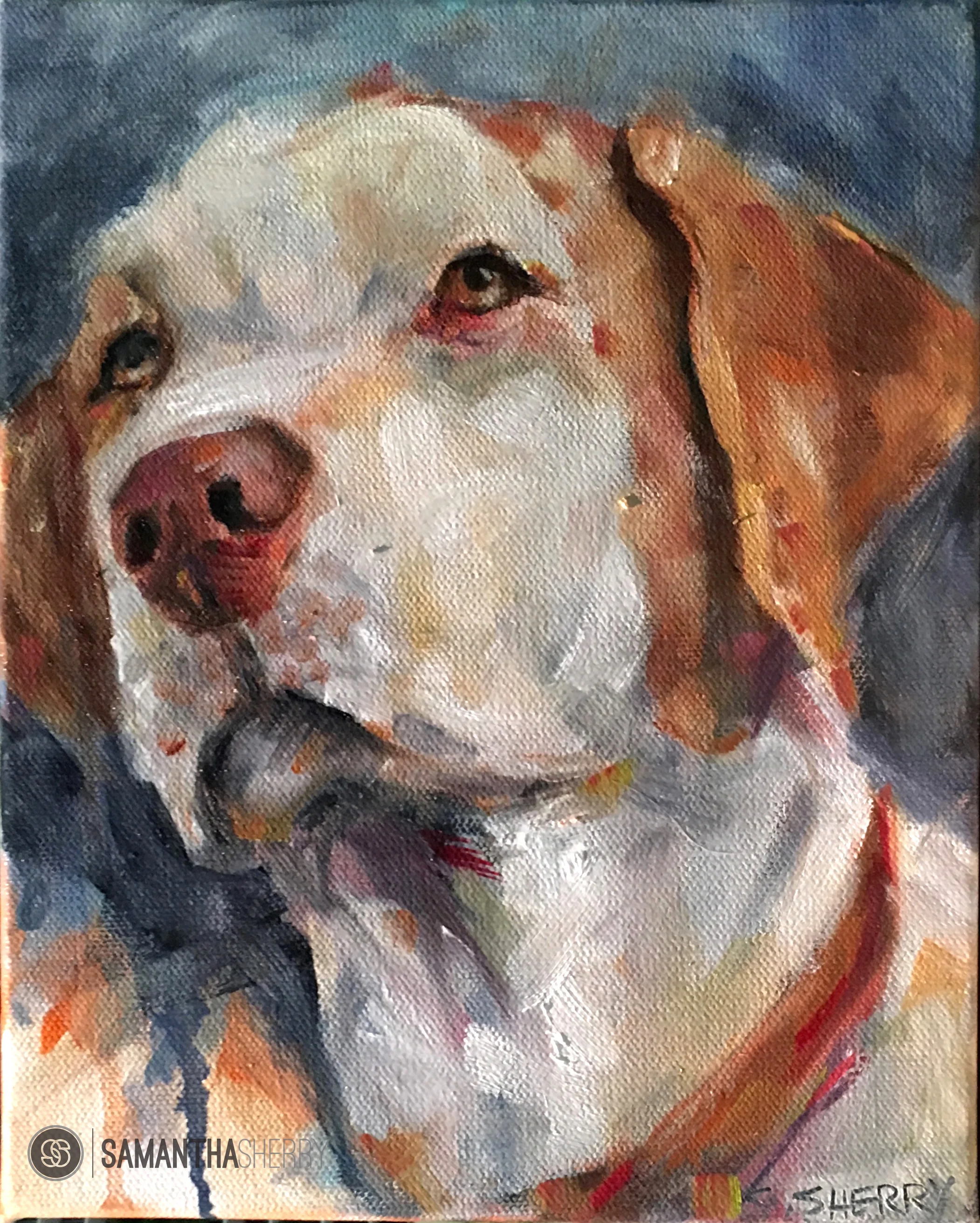 Day 21: Junior (aka Bowden)