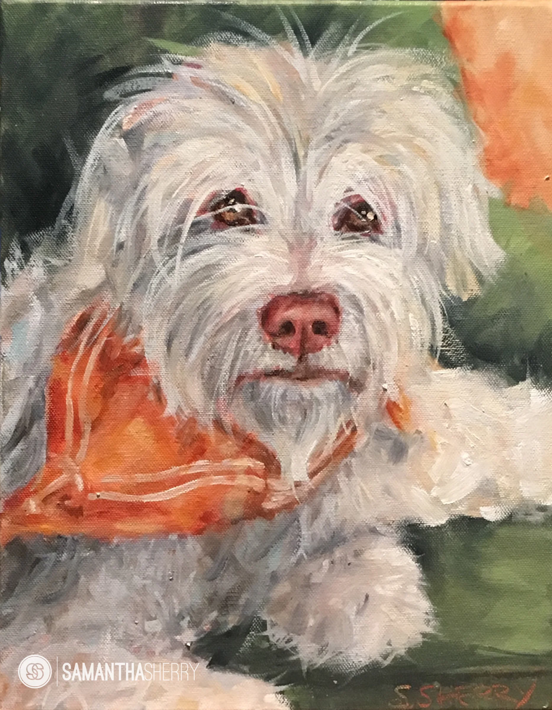 Day 29: Ellie