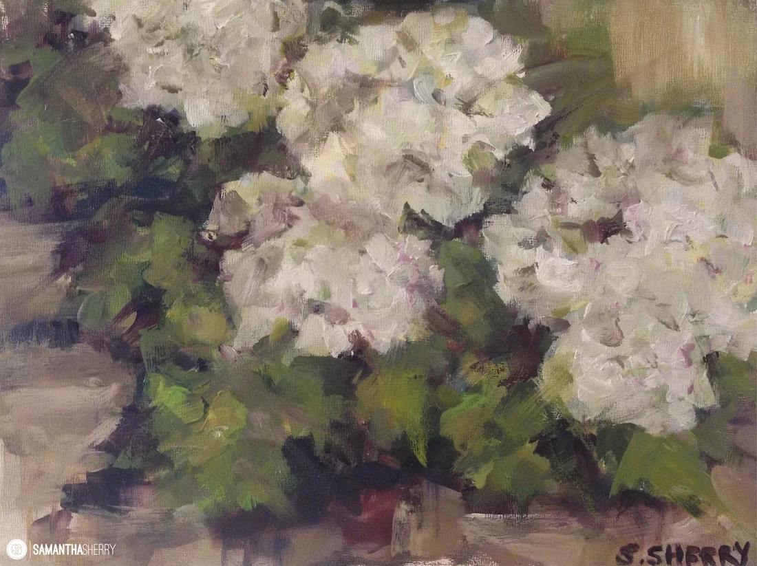 hydrangeas for sophie WM web.jpeg