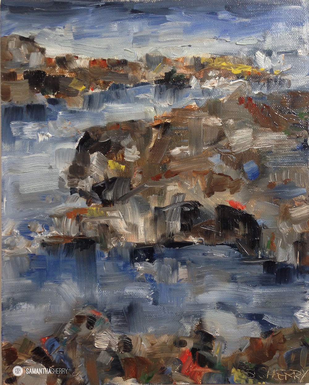 sharks cove WM web.jpeg