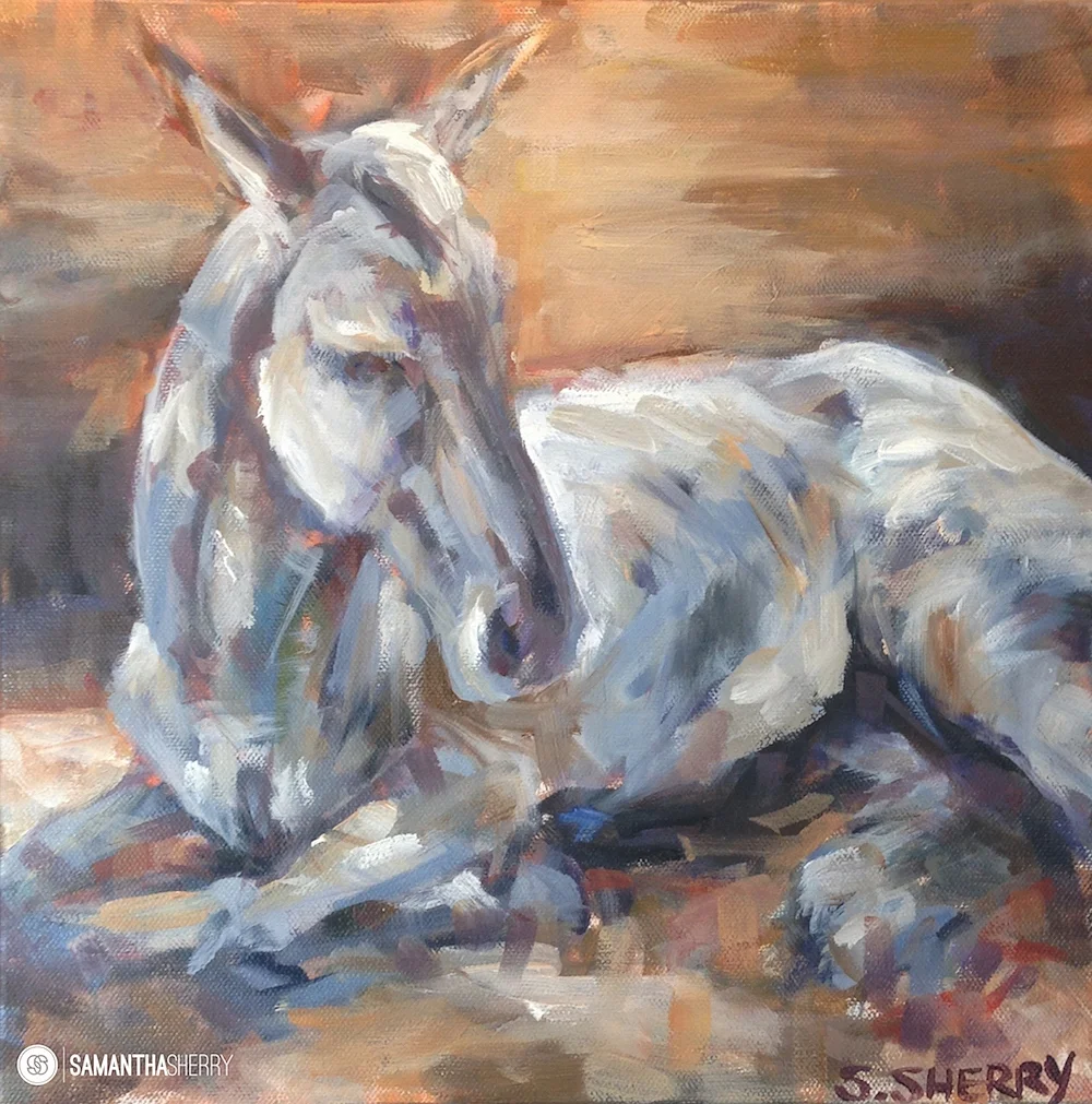 Horse Portrait/Painting Oil paint on Canvas © Samantha Sherry. May not be reproduced without express written permission from the artist.