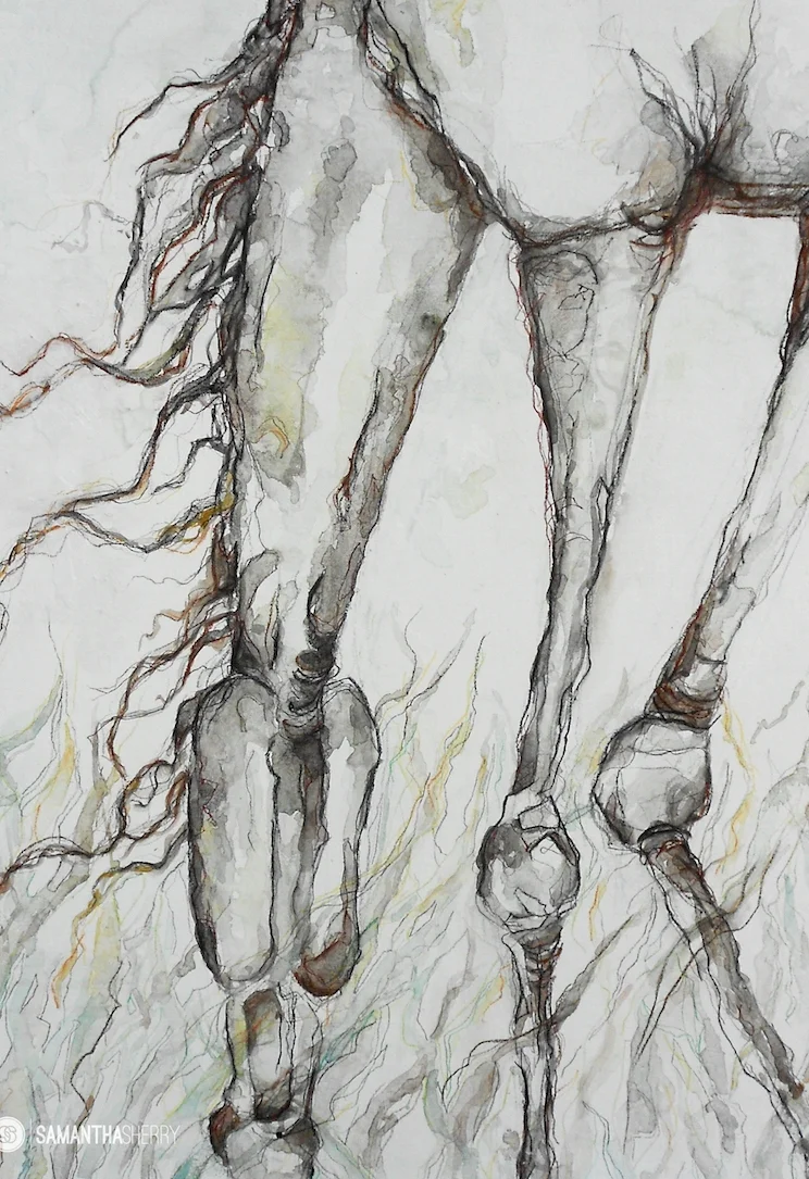 Horse Portrait/Painting Acrylic, gouache, watercolor, conte crayon on cotton paper. © Samantha Sherry. May not be reproduced without express written permission from the artist.