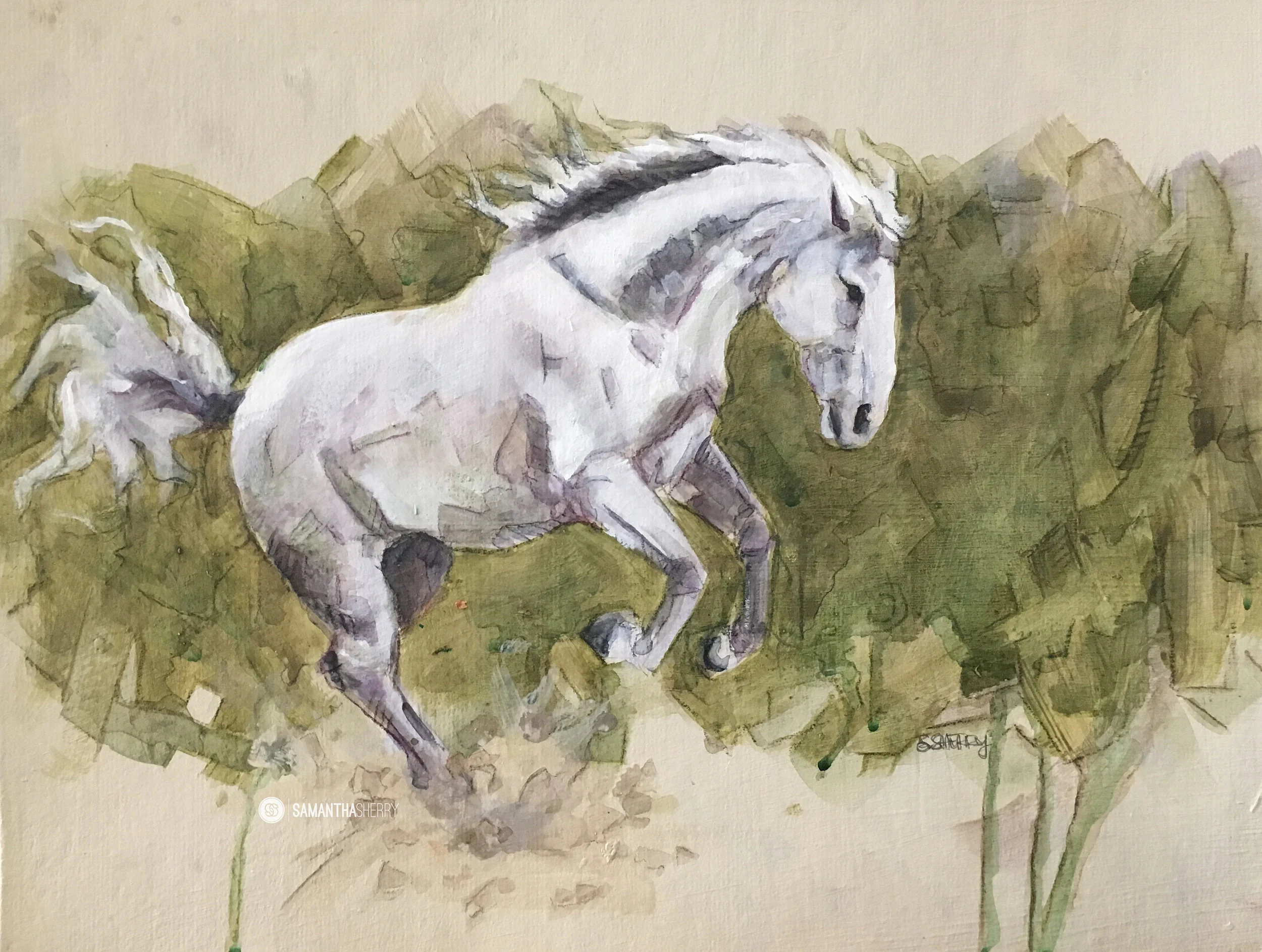 Horse Portrait/Painting Acrylic, gouache, watercolor, conte crayon on cotton paper. © Samantha Sherry. May not be reproduced without express written permission from the artist.