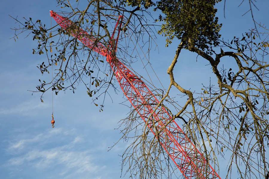 crane.jpg