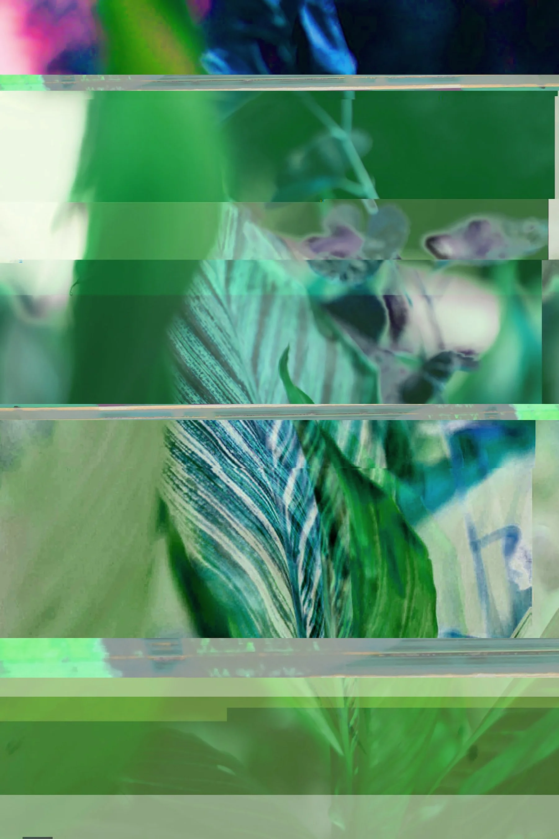home.jpg