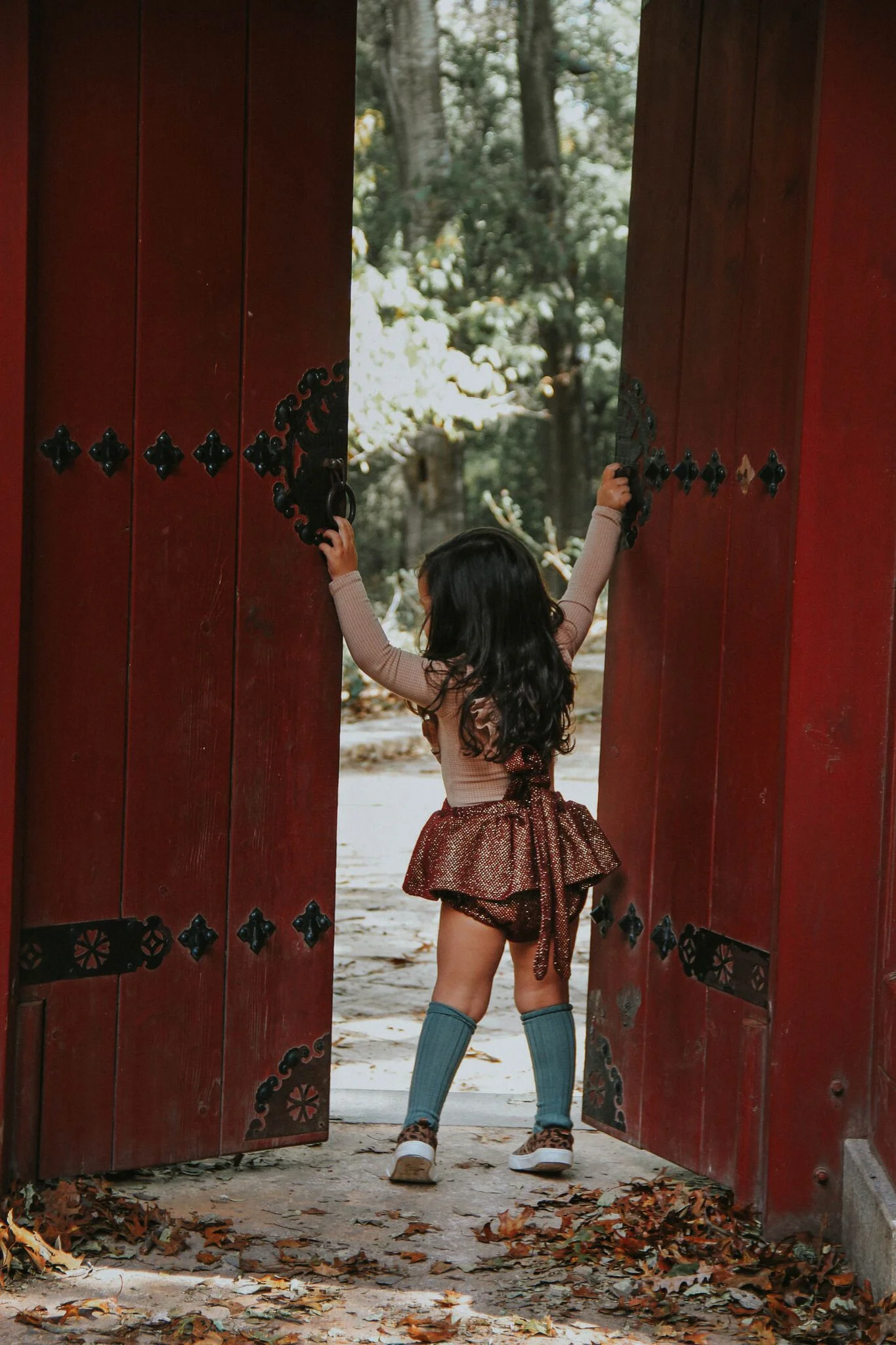 IMG_0661_preview.jpeg