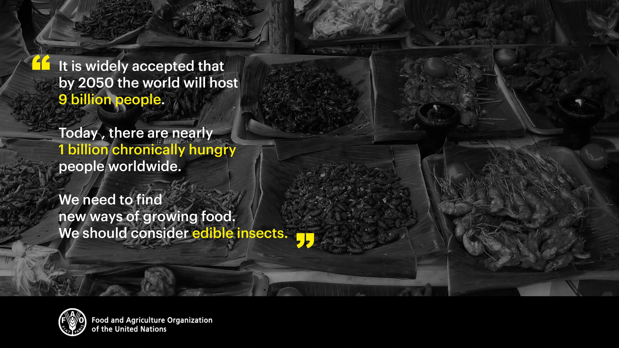 UN_report_edible_insects