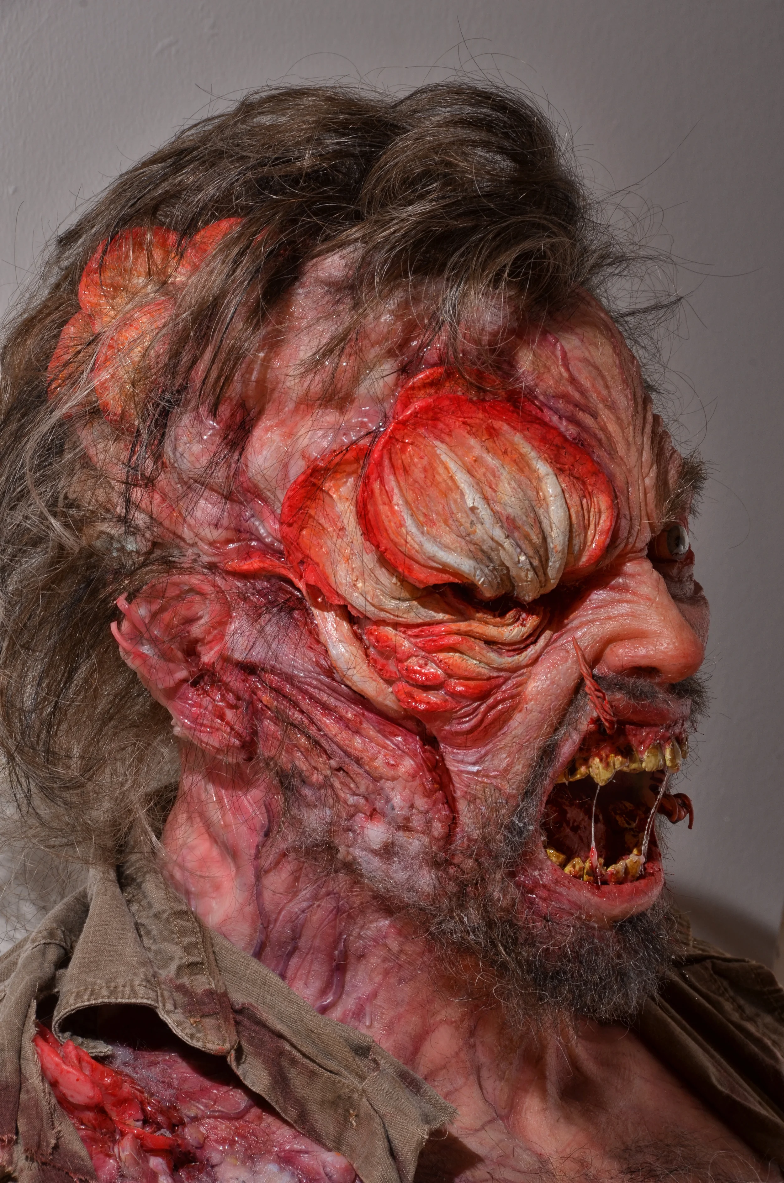 Infected Cordyceps Zombie