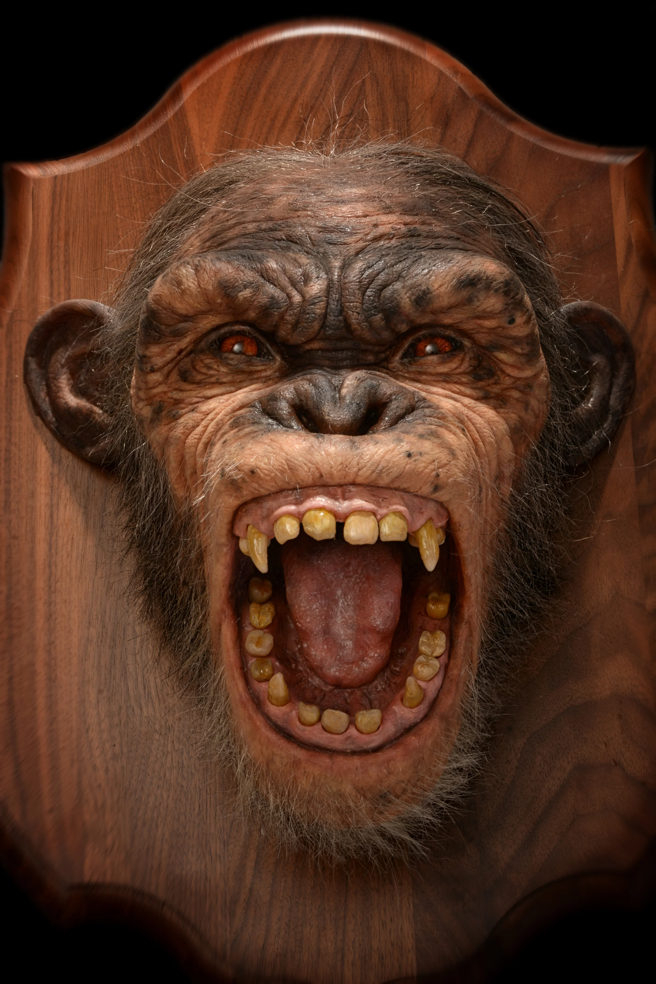 chimpanzee sculpture.jpg