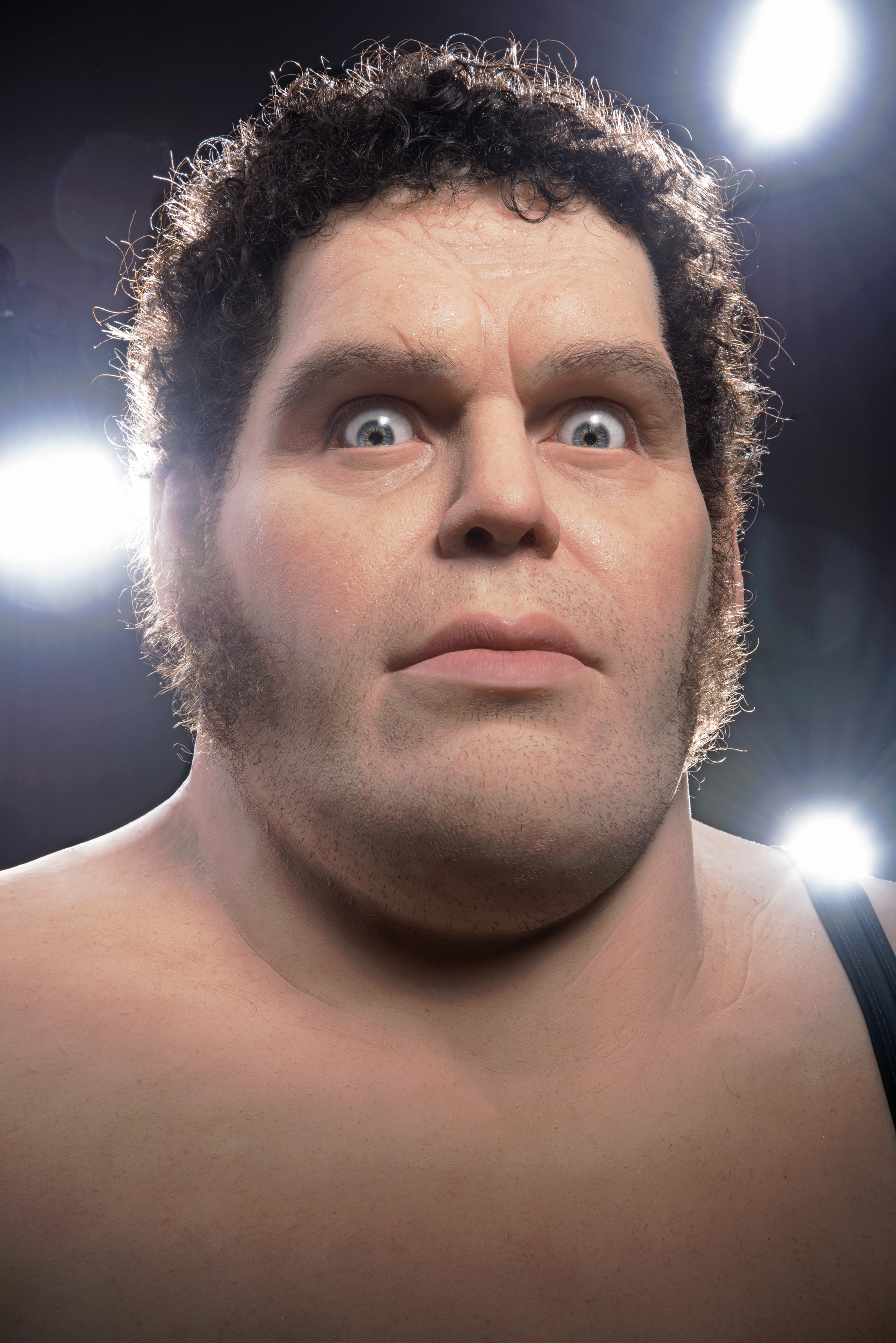 andre the giant wwf.jpg
