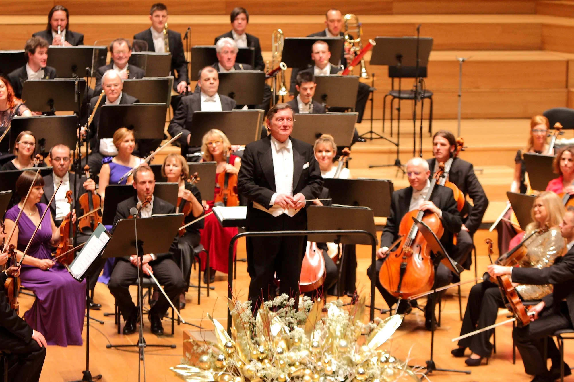 2015 New Year's Concert