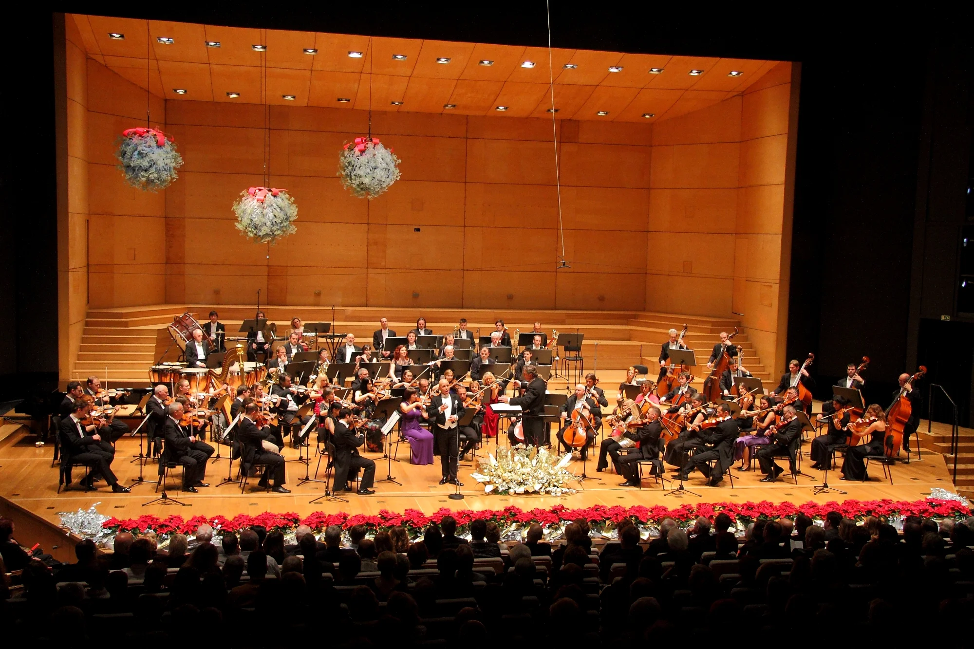 2015 New Year's Concert