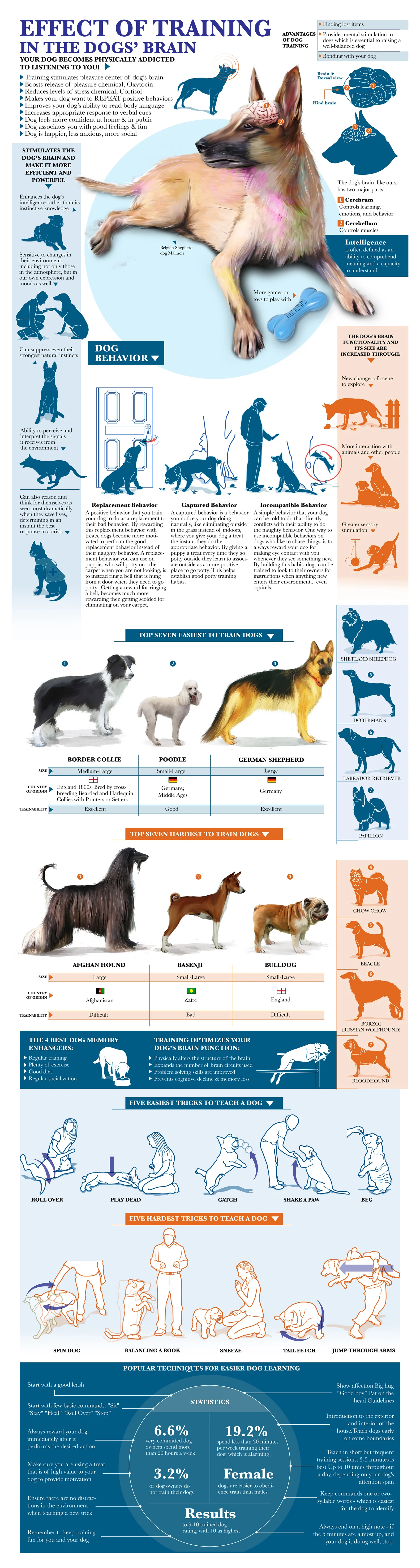 effect-of-training-in-the-dog-brain primal canine dog training.jpg