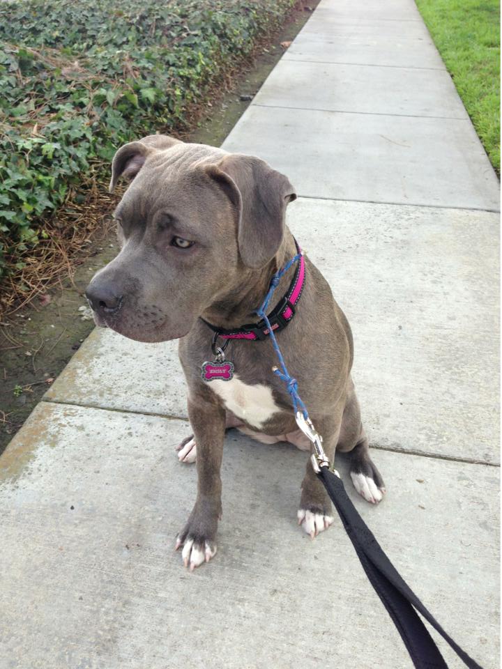 Lanetta & Emily - Testimonial