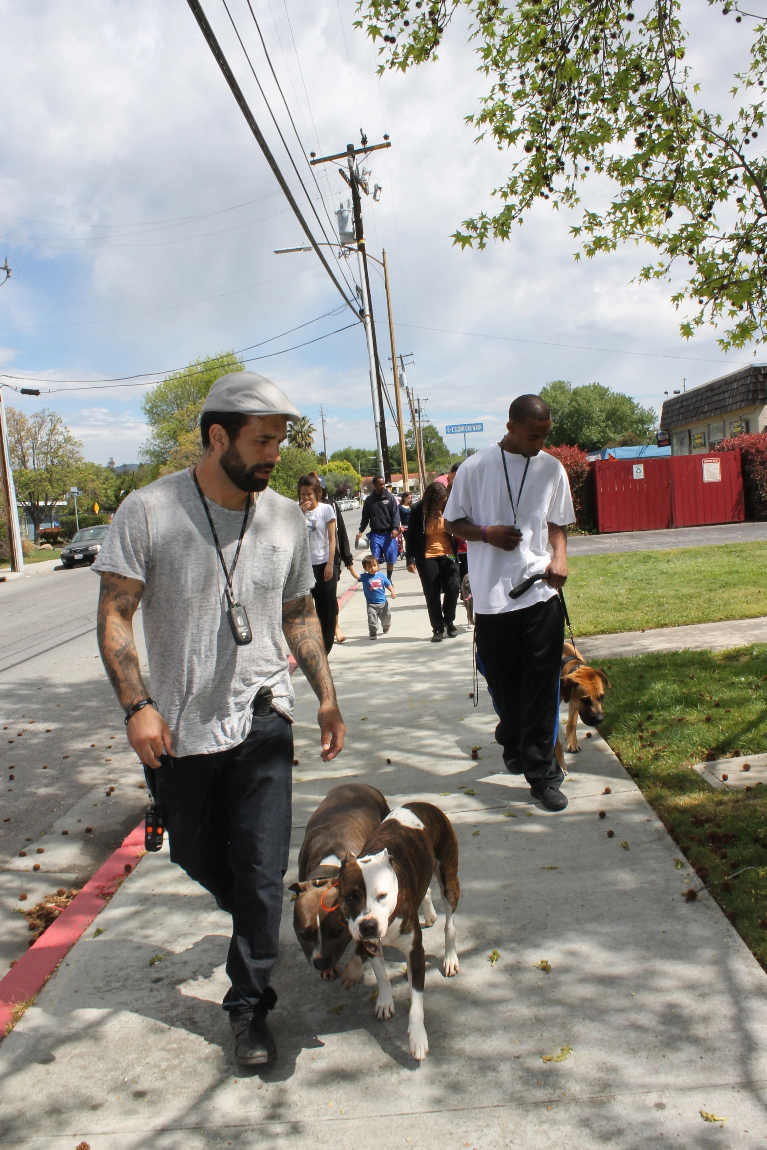 Reverse Heel w/Bear & Marilyn - Video