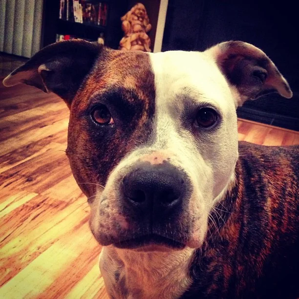 Having Fun While Training - Video 