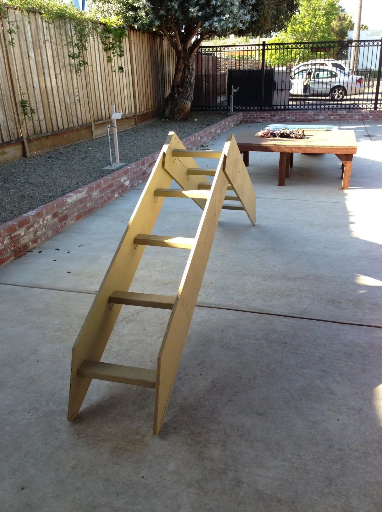 New Agility Equipment!!