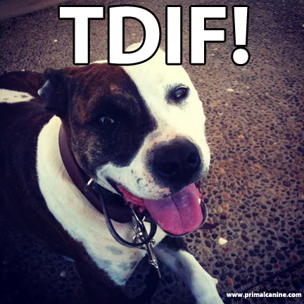 TDIF!