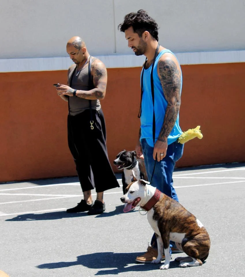 Primal Canine Trainers