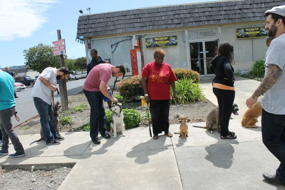 Heel Training Tips - Video