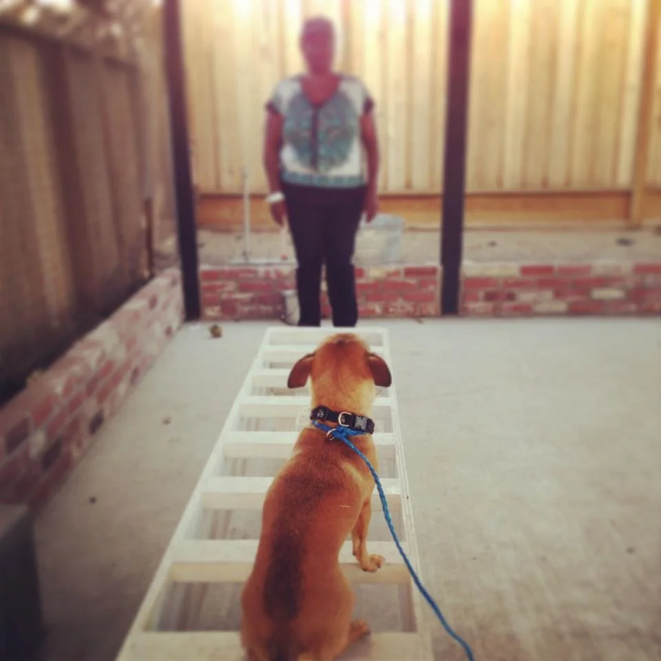 The Importance of Agility 