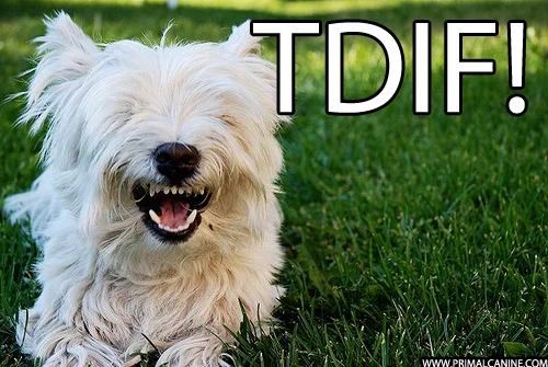 TDIF!