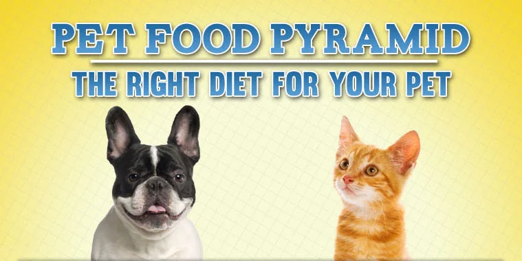 The Pet Food Pyramid - INFOGRAPHIC