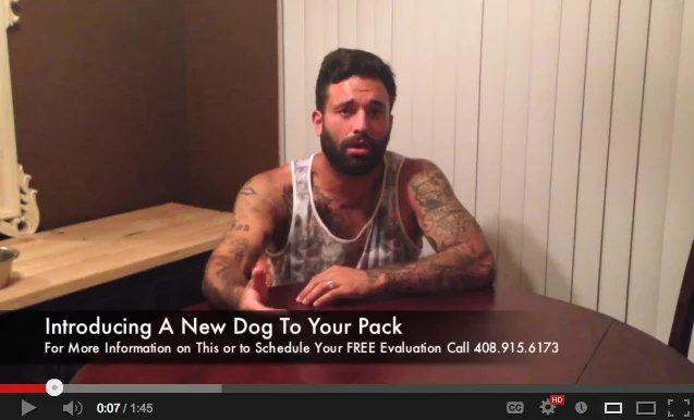Introducing a New Dog to Your Pack - Video