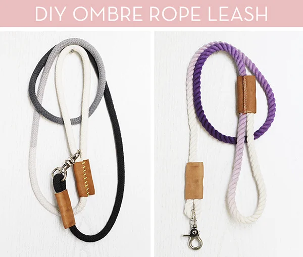 DIY: Modern Dip-Dyed Rope Dog Leash 