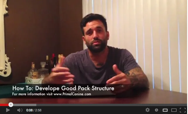 How To: Build Proper Pack Structure [Basic Tips]